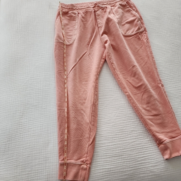 J. CREW Garment Dyed Joggers - Picture 7 of 10